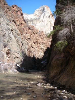 zion national park