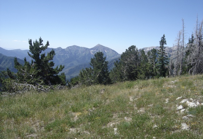 Box Elder Peak