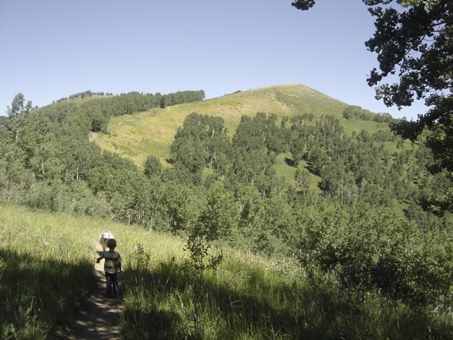 Ant Knolls trail