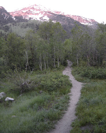 Box Elder Peak Trail