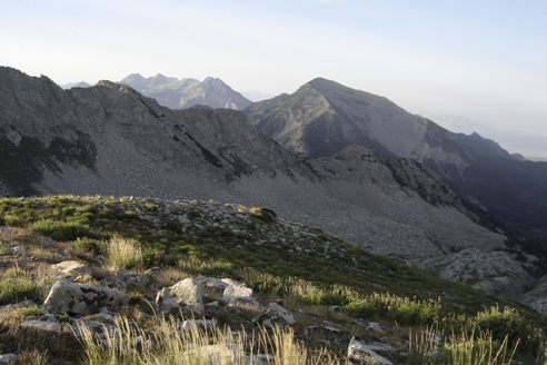 Box Elder and Timp