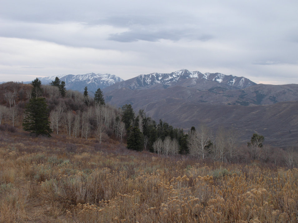 Pumphouse Hill view of Spanish Fork Peak