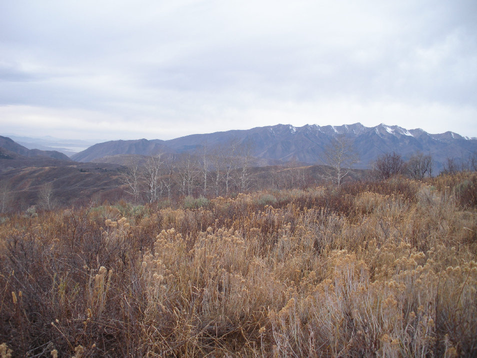 Pumphouse Hill view of Provo Peak