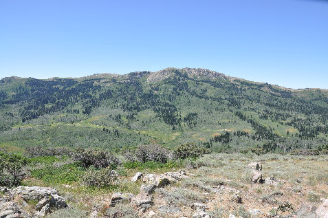 Bountiful Peak