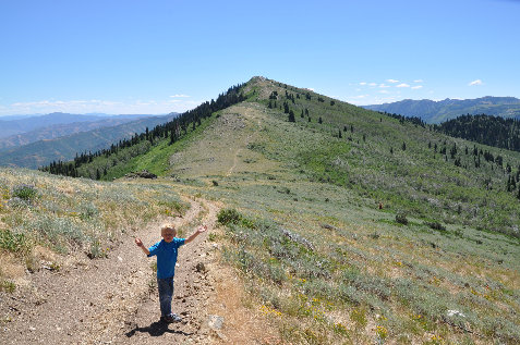 Gold Ridge atv trail