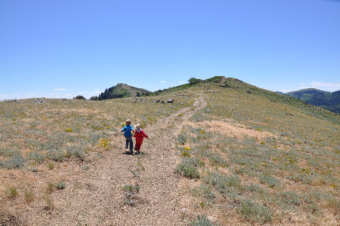 Gold Ridge atv trail