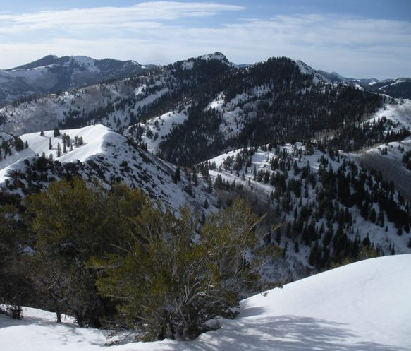 Millvue Peak, Wasatch 