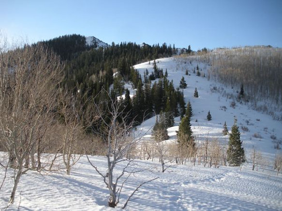 Millvue Peak and the pass 