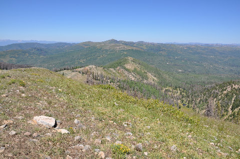 Currant Creek Peak