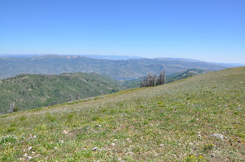 Currant Creek Reservoir 