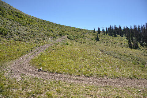 Racetrack ATV road