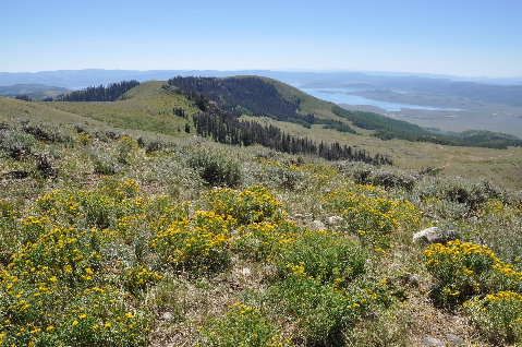 Strawberry Reservoir