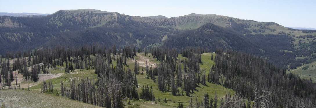 View from Lawry Top