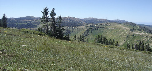 Skyline Drive Utah