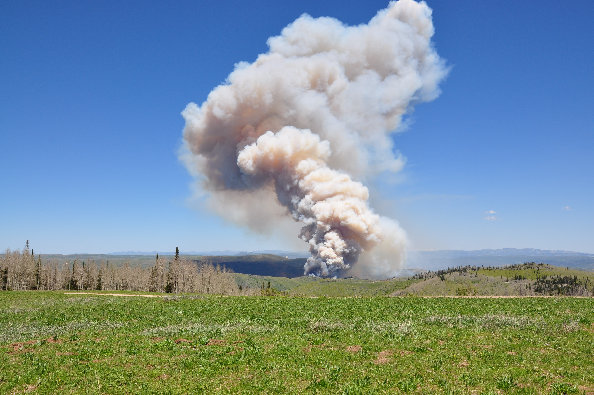 Fish Creek Burn