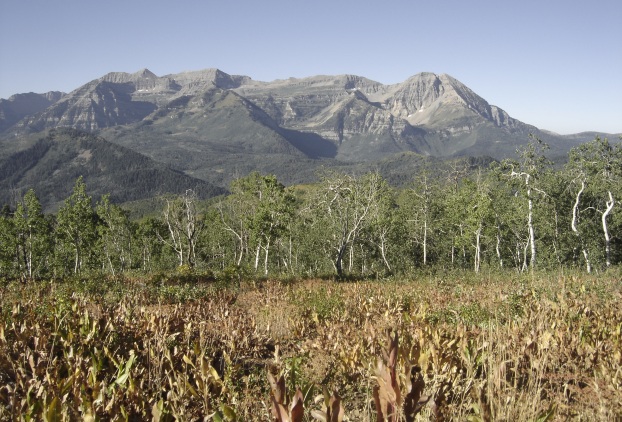 view of Timpanogos 