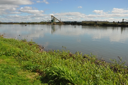 Chehalis River 