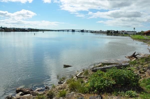 Chehalis River 