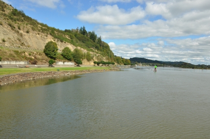 Chehalis River 