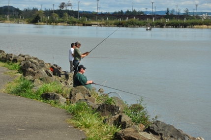 Chehalis River 