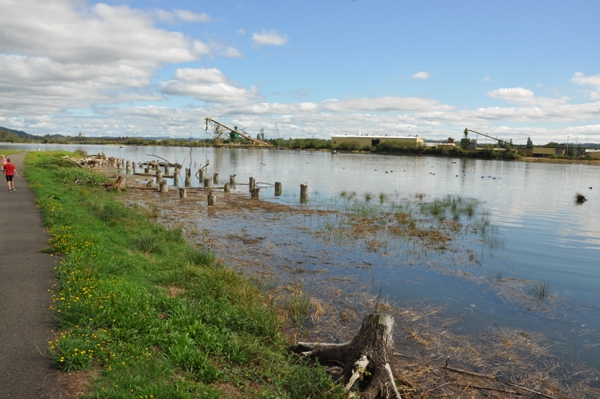 Chehalis River 