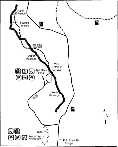 ape caves map