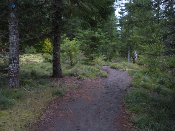 ape cave surface trail