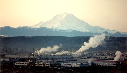 rainier view