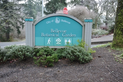 bellevue botanical garden