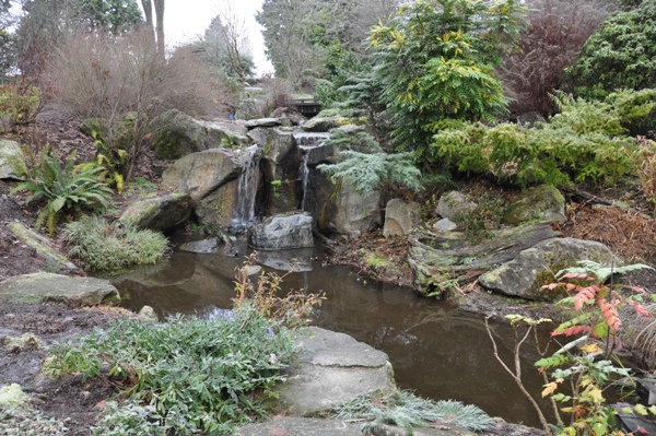 Bellevue Botanical Garden Parks Recreation