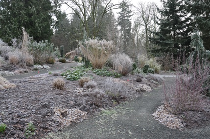 bellevue botanical garden