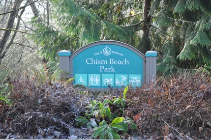 chism beach park 