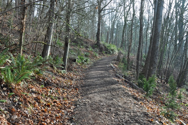 chism beach trail