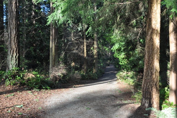 Killarney Glen Park