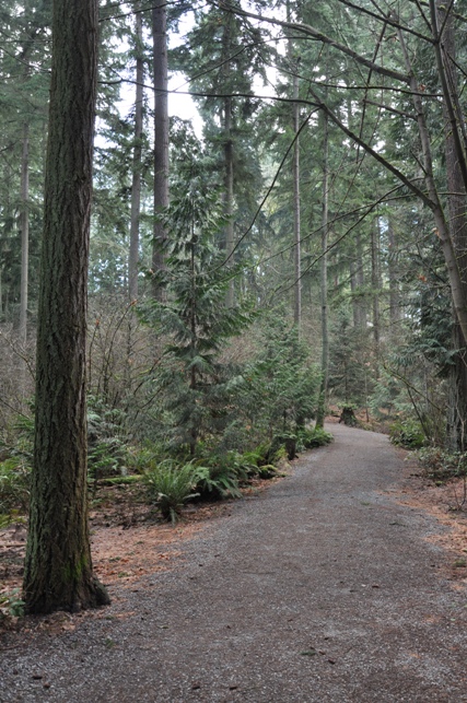 Killarney Glen Park