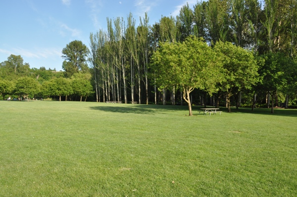 Newcastle Beach Park