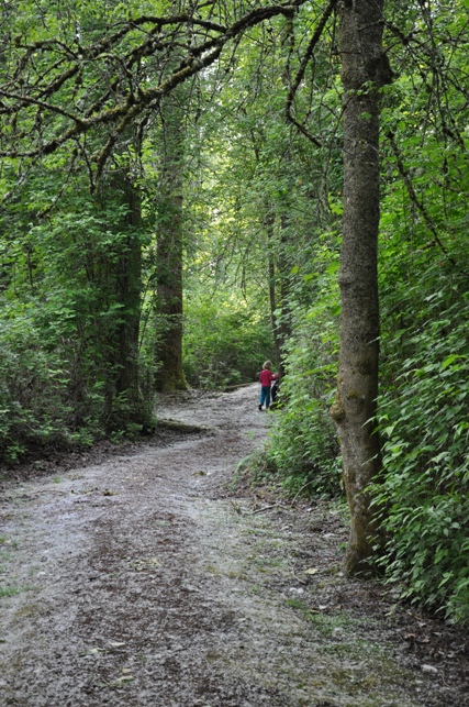 newcastle beach trail