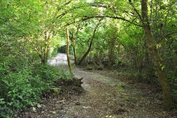 newcastle beach trail