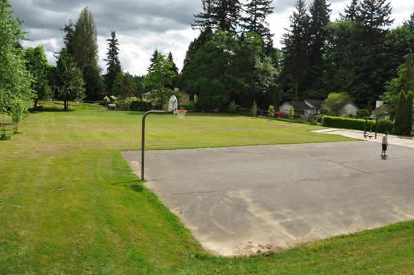 bobcat playfield