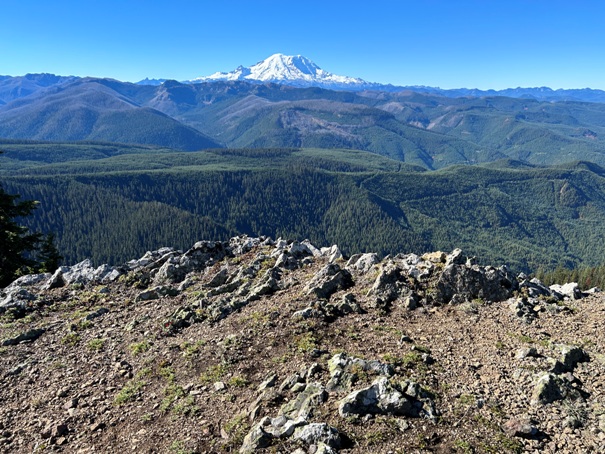 Mt. Rainier