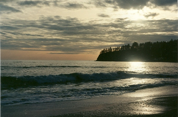 Beach Sunset