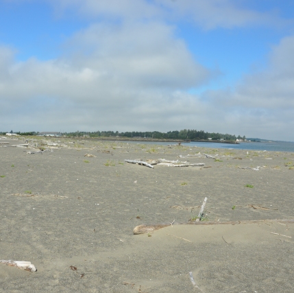 grays harbor