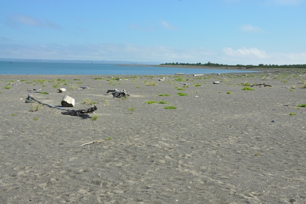 Damon Point 