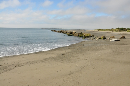 Damon Point 