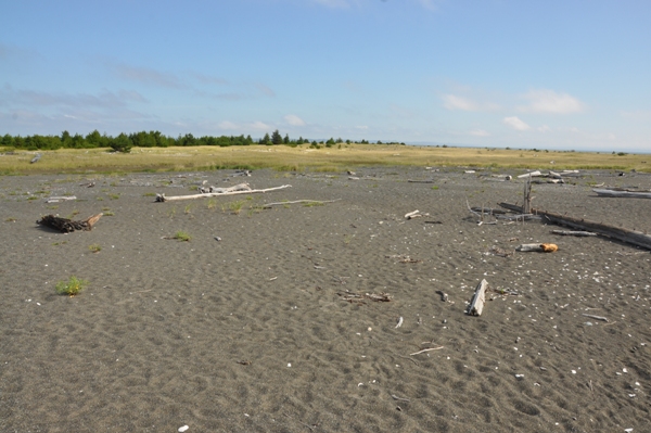 Damon Point 