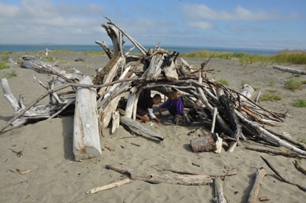 Driftwood shelter