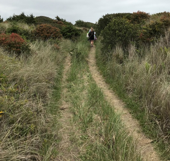 Trail to beach