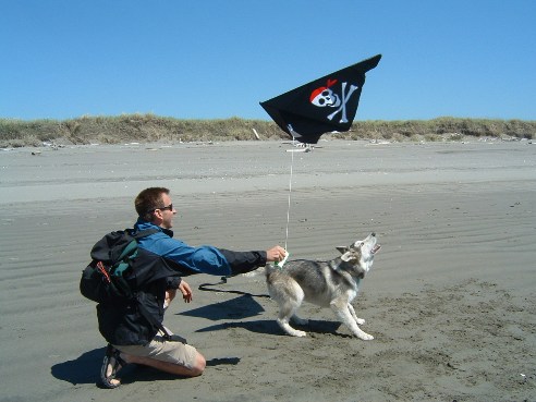 Kite flying in Westport