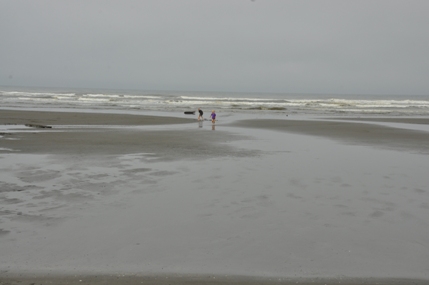 Ocean Shores