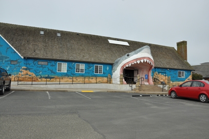 Ocean Shores